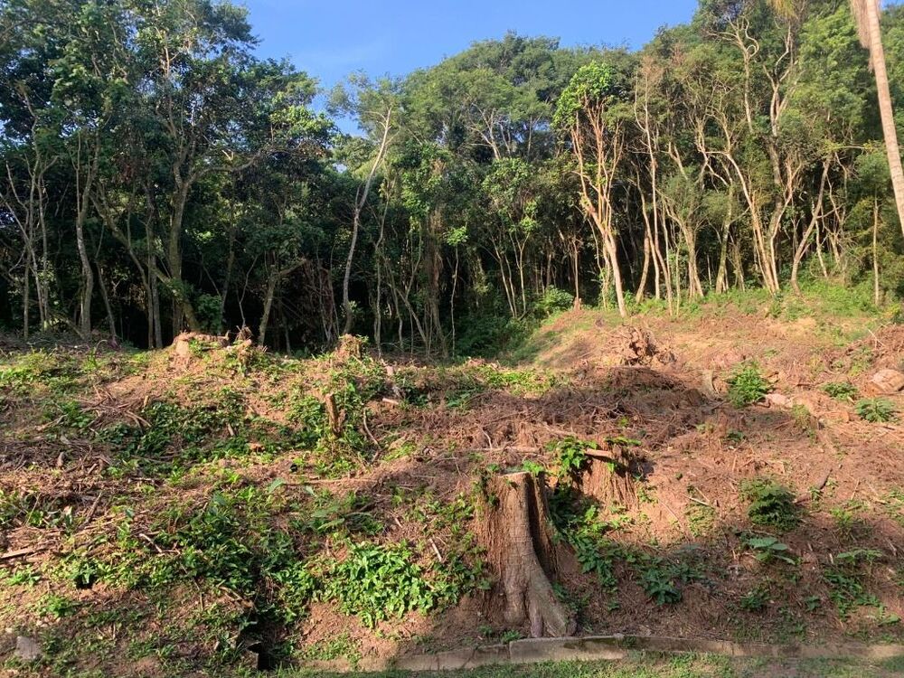 Loteamento e Condomínio, 1592 m² - Foto 1