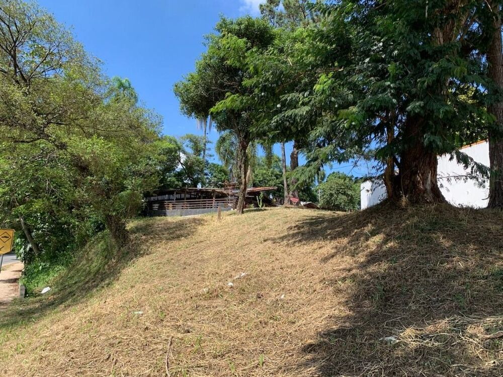 Terreno, 2 hectares - Foto 11