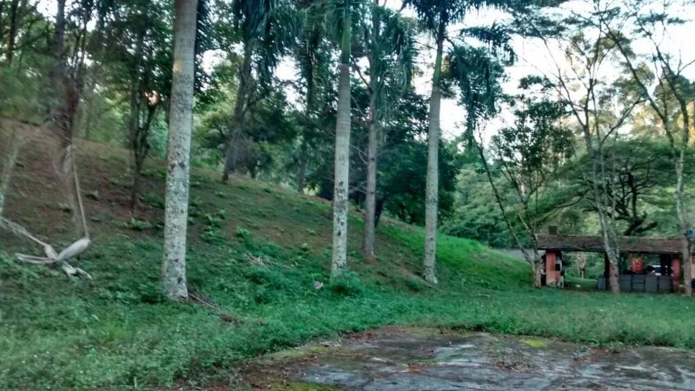 Terreno, 3 hectares - Foto 11