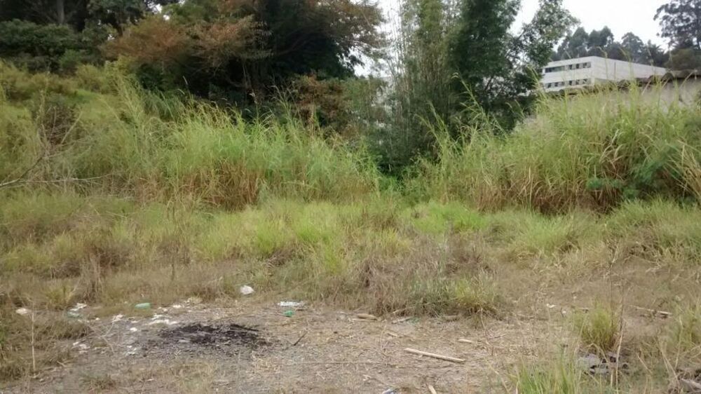 Terreno, 3 hectares - Foto 12
