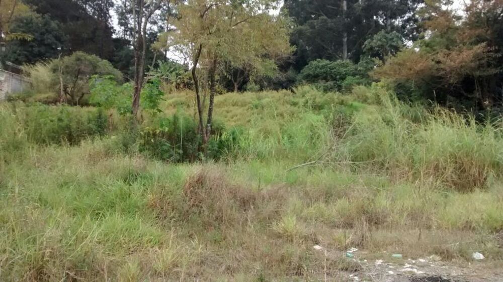 Terreno, 3 hectares - Foto 17