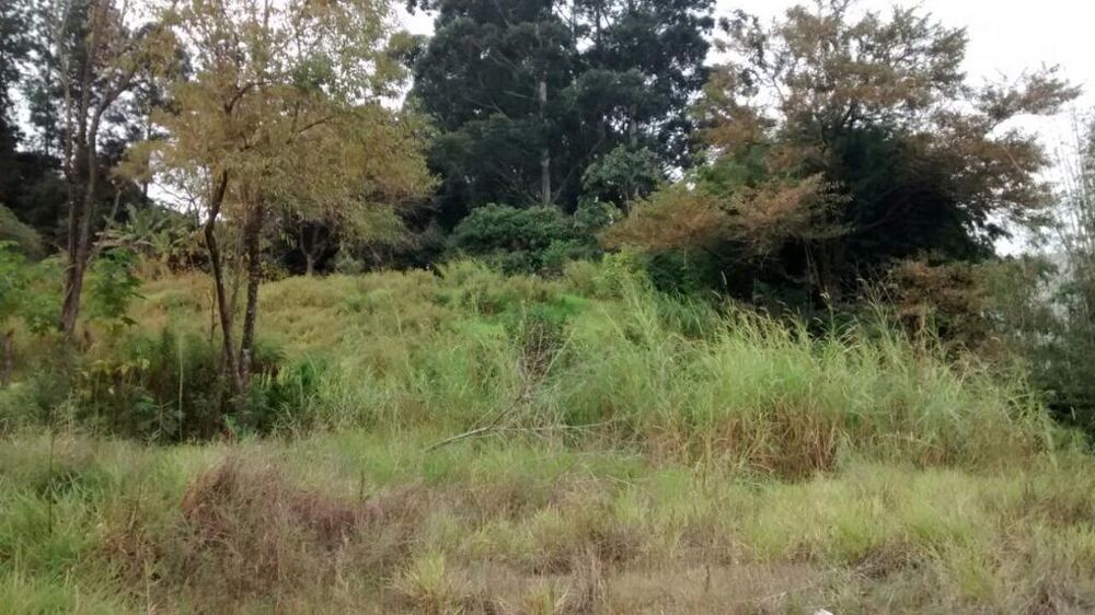 Terreno, 3 hectares - Foto 13
