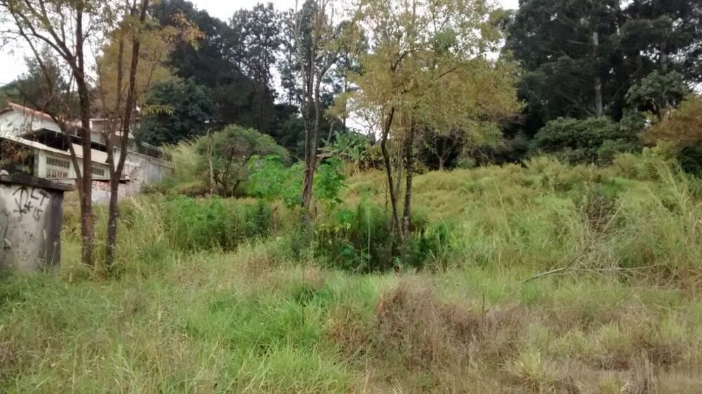 Terreno, 3 hectares - Foto 16