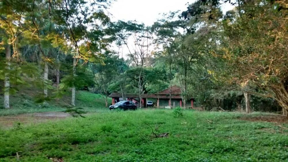 Terreno, 3 hectares - Foto 6