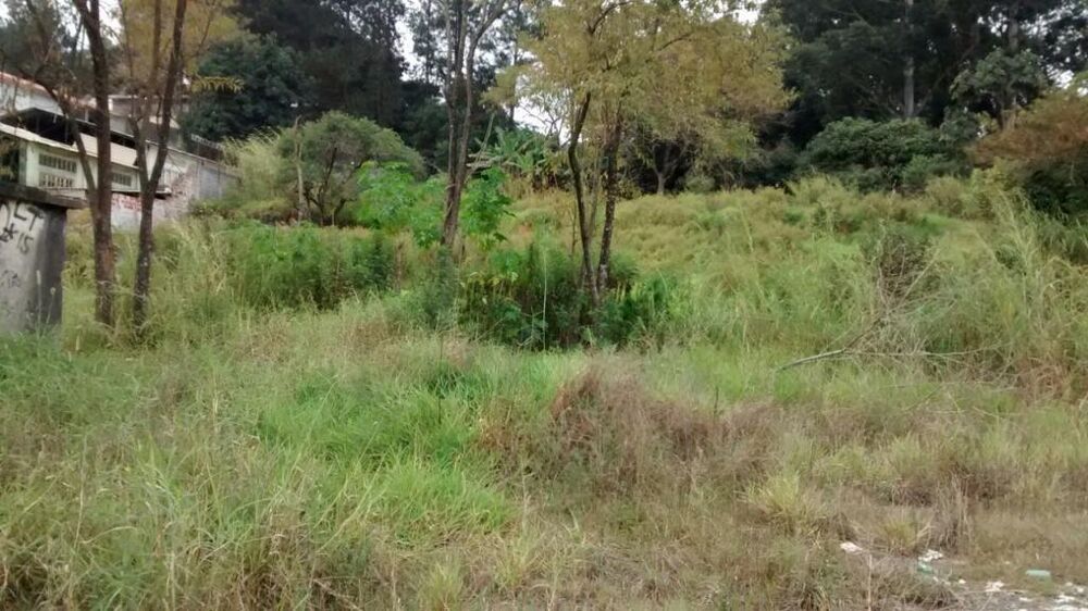 Terreno, 3 hectares - Foto 9