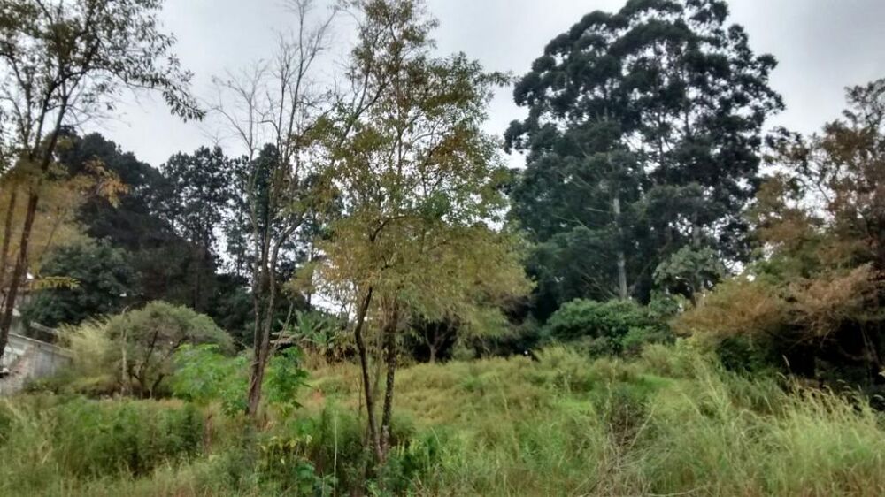 Terreno, 3 hectares - Foto 2