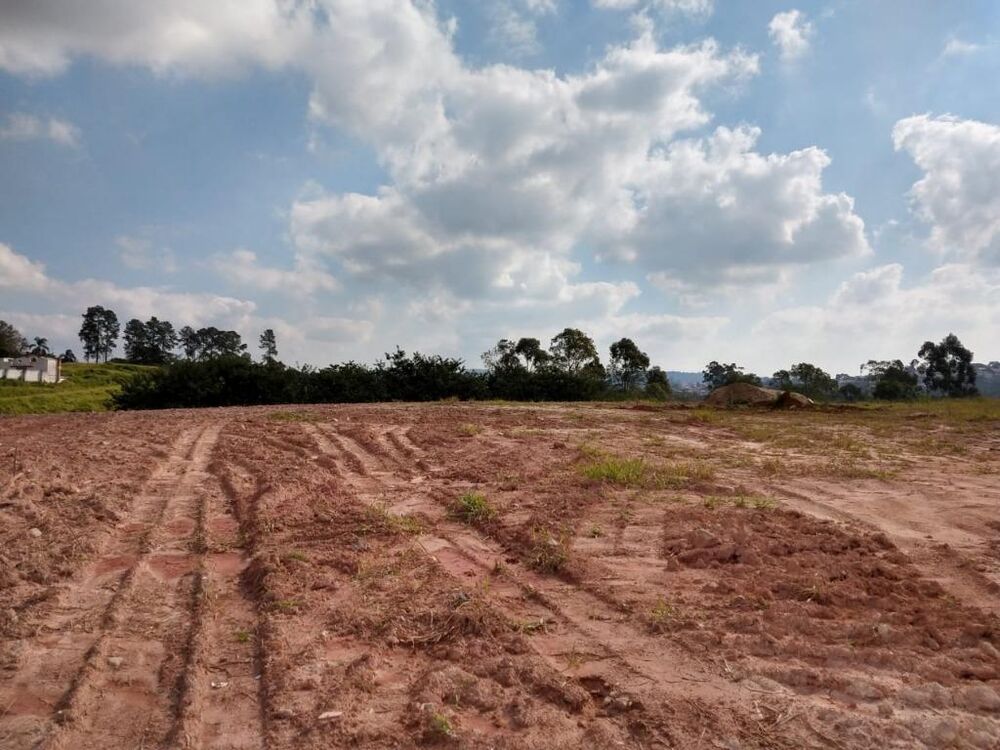 Terreno, 9900 m² - Foto 6