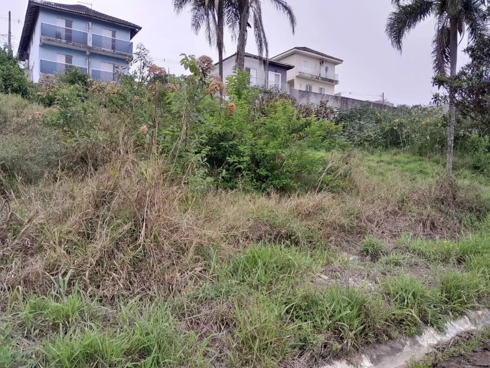 Terreno, 250 m² - Foto 5