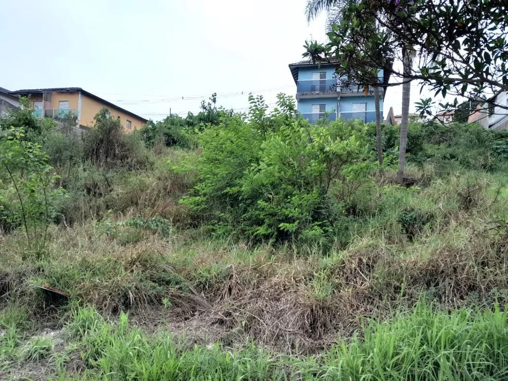 Terreno, 250 m² - Foto 4