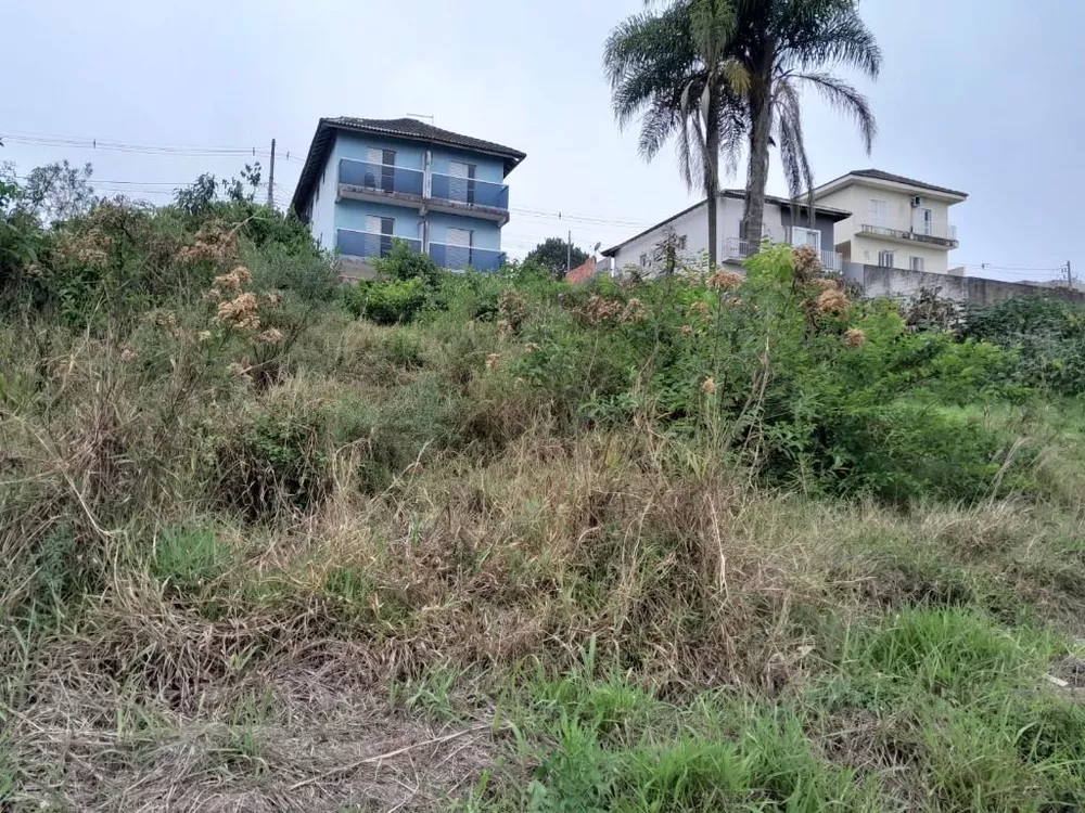 Terreno, 250 m² - Foto 6