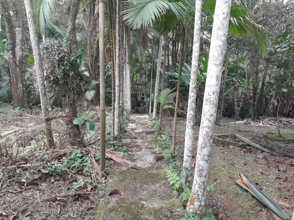 Chácara, 3 quartos, 1850 m² - Foto 18