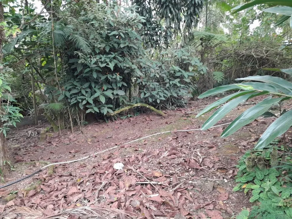 Chácara, 3 quartos, 1850 m² - Foto 19