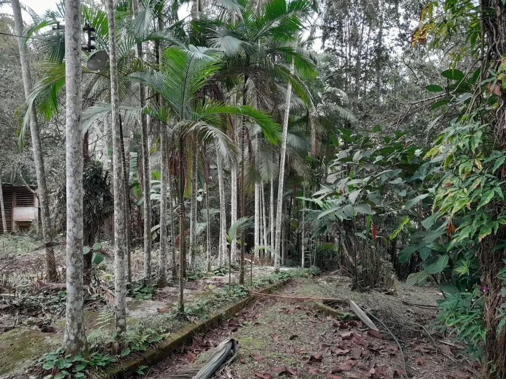 Chácara, 3 quartos, 1850 m² - Foto 15