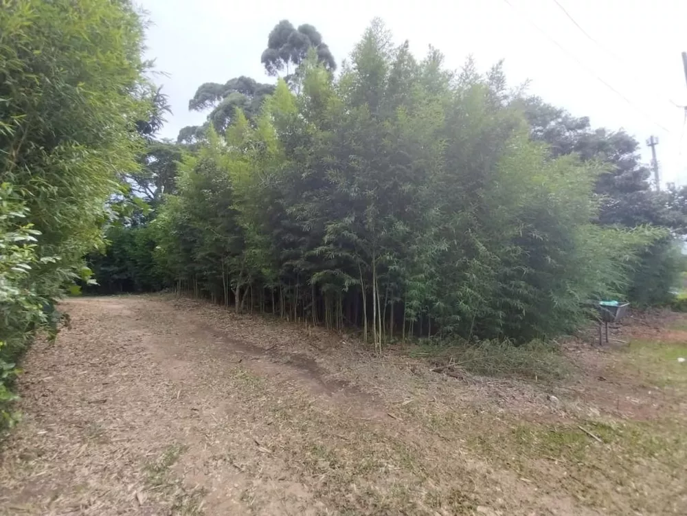 Loteamento e Condomínio, 1700 m² - Foto 3