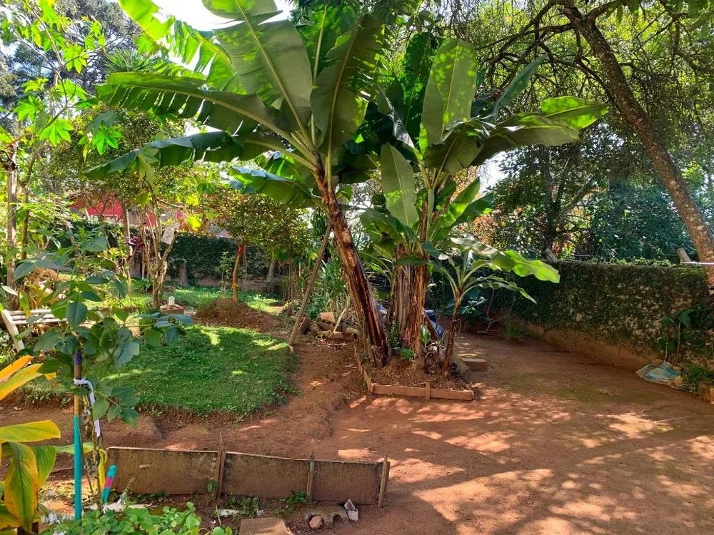 Chácara, 4 quartos, 1940 m² - Foto 6