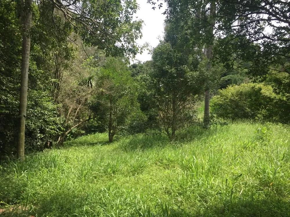 Terreno, 2 hectares - Foto 3