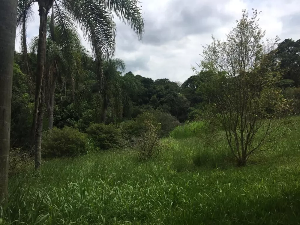 Terreno, 2 hectares - Foto 4