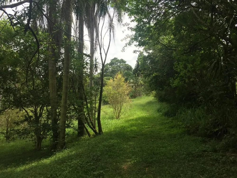 Terreno, 2 hectares - Foto 4