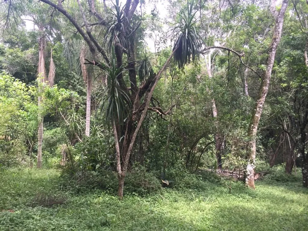Terreno, 2 hectares - Foto 8