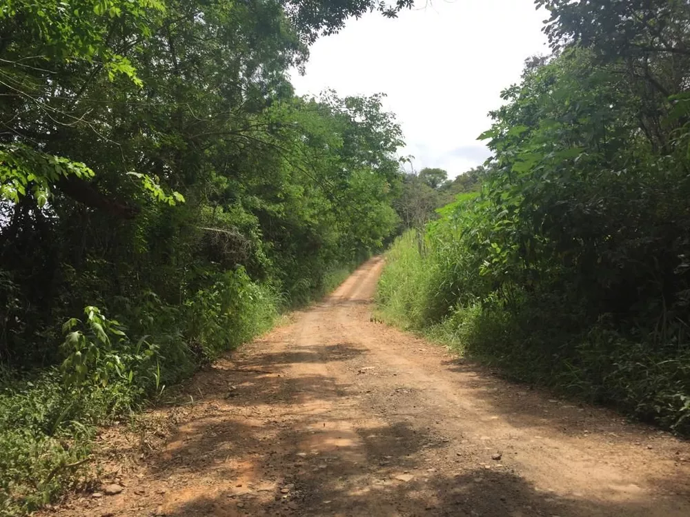 Terreno, 2 hectares - Foto 2