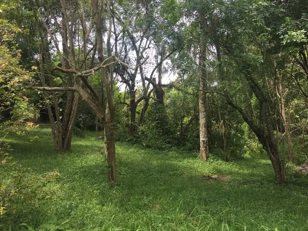 Terreno, 2 hectares - Foto 7