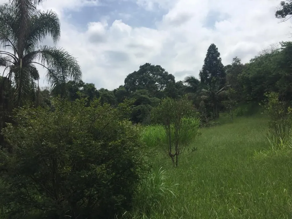 Terreno, 2 hectares - Foto 10