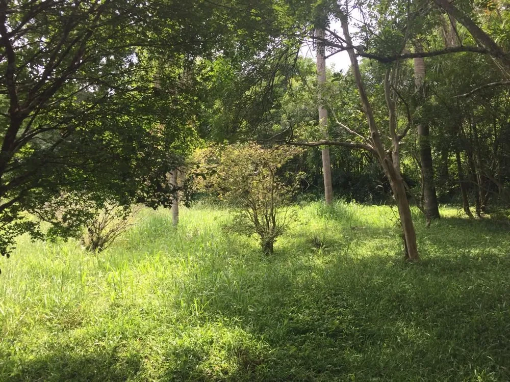 Terreno, 2 hectares - Foto 6