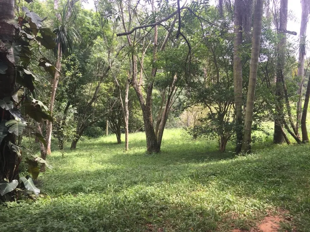 Terreno, 2 hectares - Foto 12