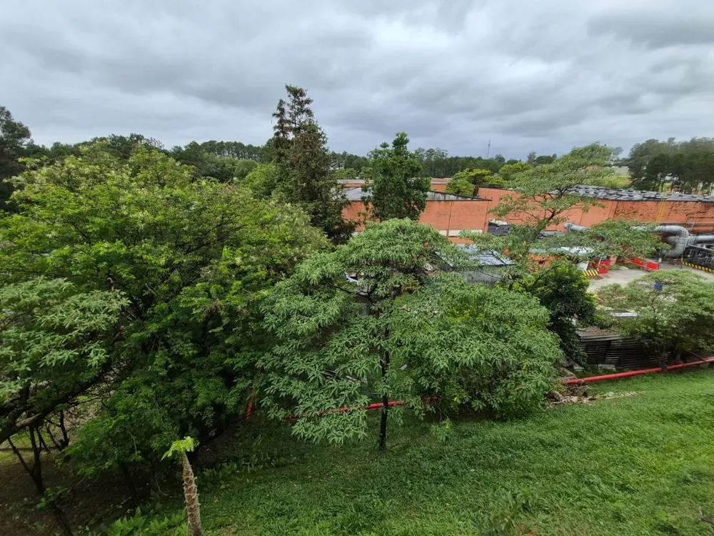 Casa, 4 quartos, 174 m² - Foto 5