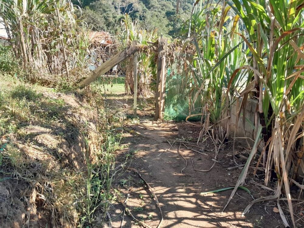 Chácara, 2 quartos, 800 m² - Foto 7