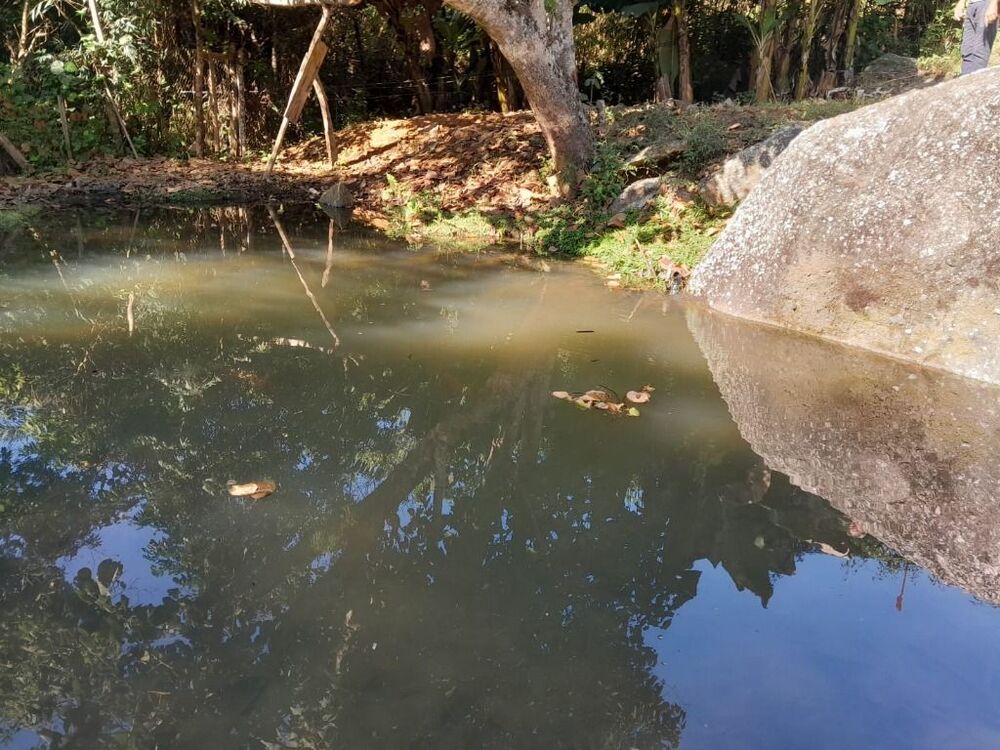 Chácara, 2 quartos, 800 m² - Foto 10