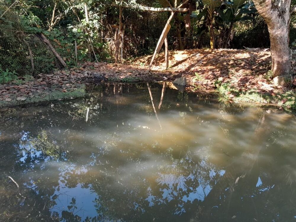 Chácara, 2 quartos, 800 m² - Foto 11