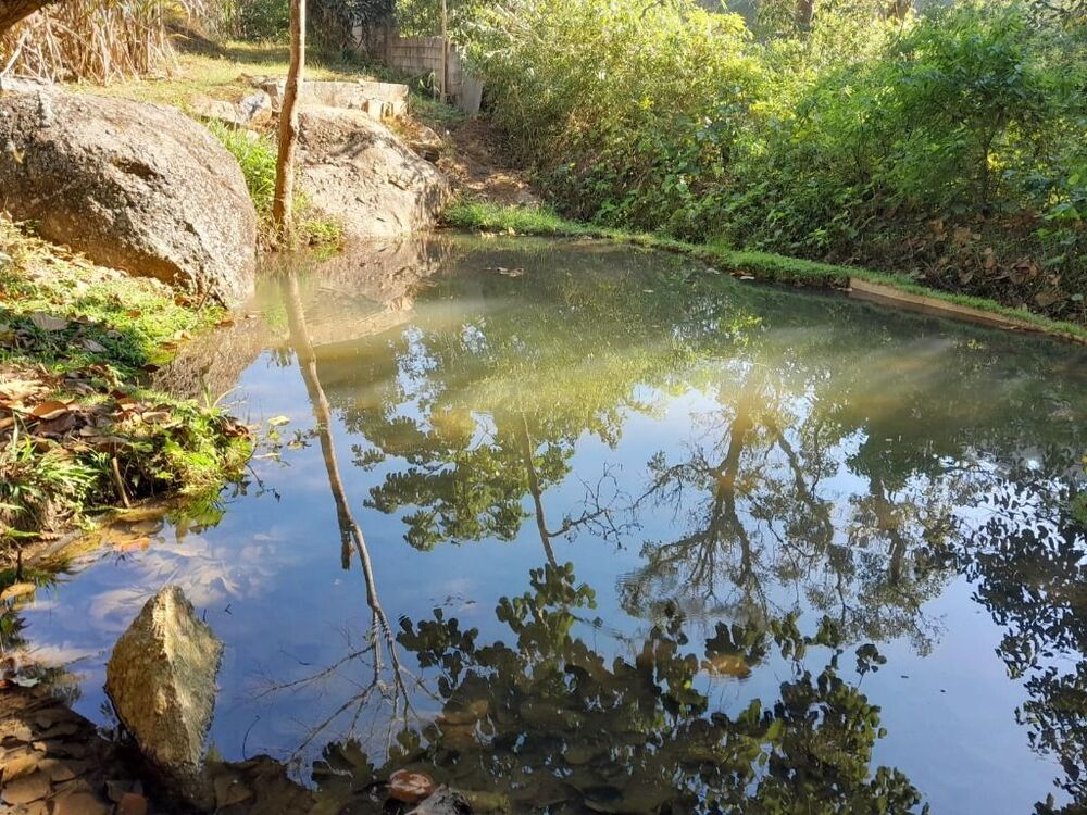 Chácara, 2 quartos, 800 m² - Foto 9