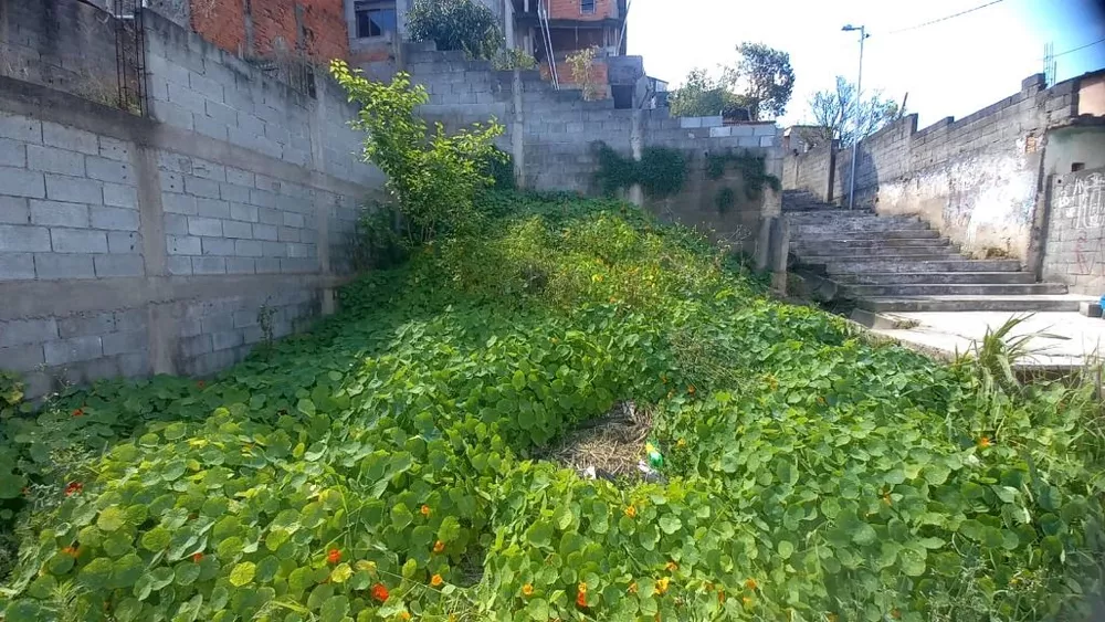 Terreno à venda, 190m² - Foto 2