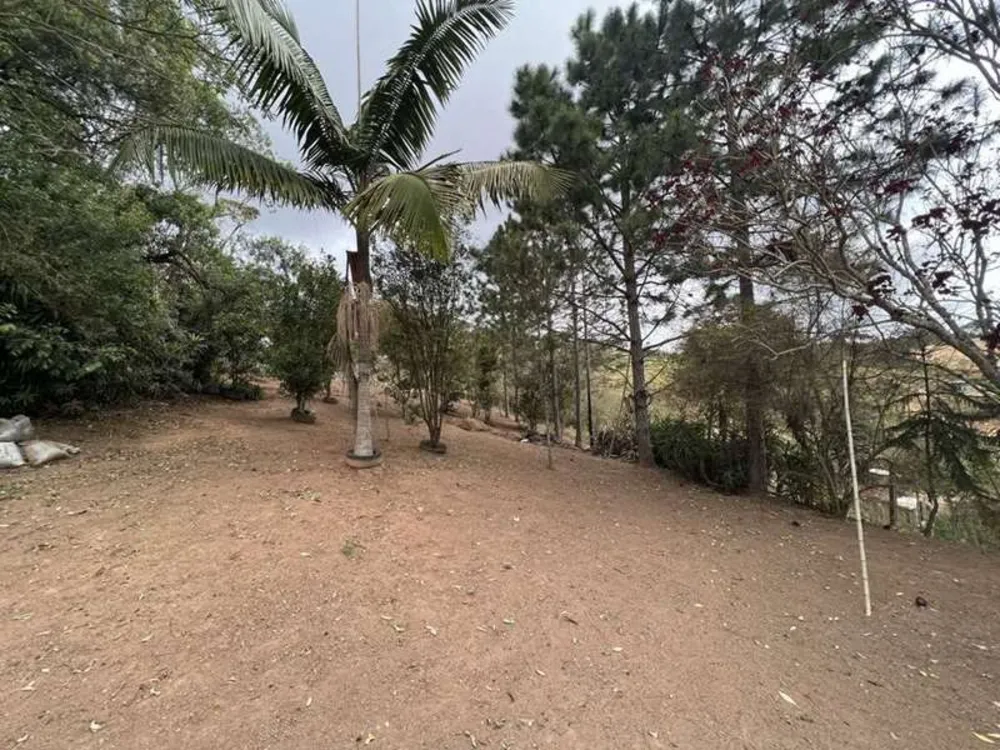 Terreno, 2 hectares - Foto 10
