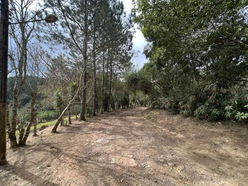 Terreno, 2 hectares - Foto 5