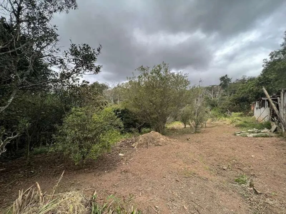Terreno, 2 hectares - Foto 11