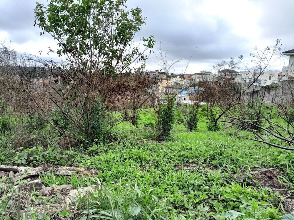 Terreno, 308 m² - Foto 4