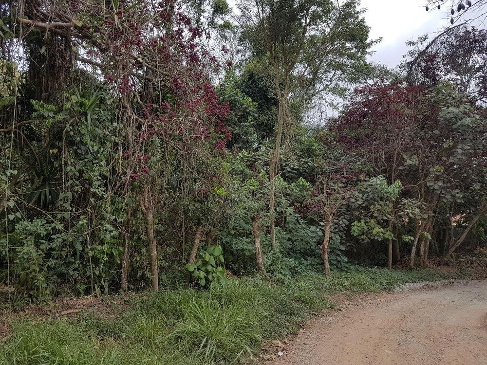 Terreno, 1432 m² - Foto 1