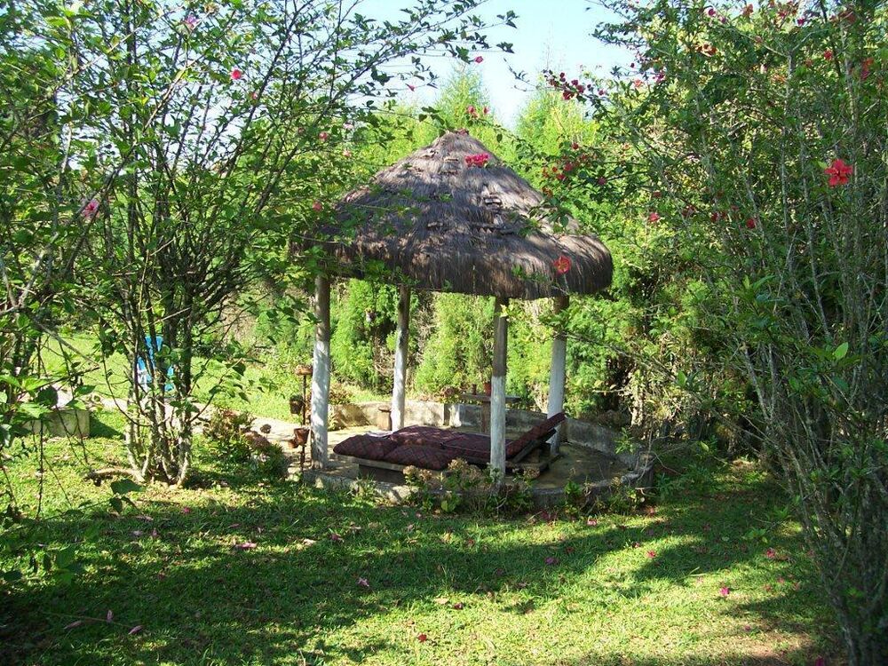 Chácara, 3 quartos, 3144 m² - Foto 2