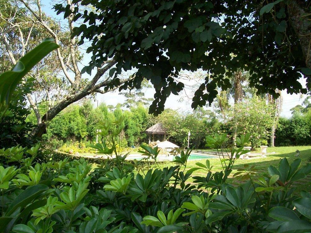 Chácara, 3 quartos, 3144 m² - Foto 3