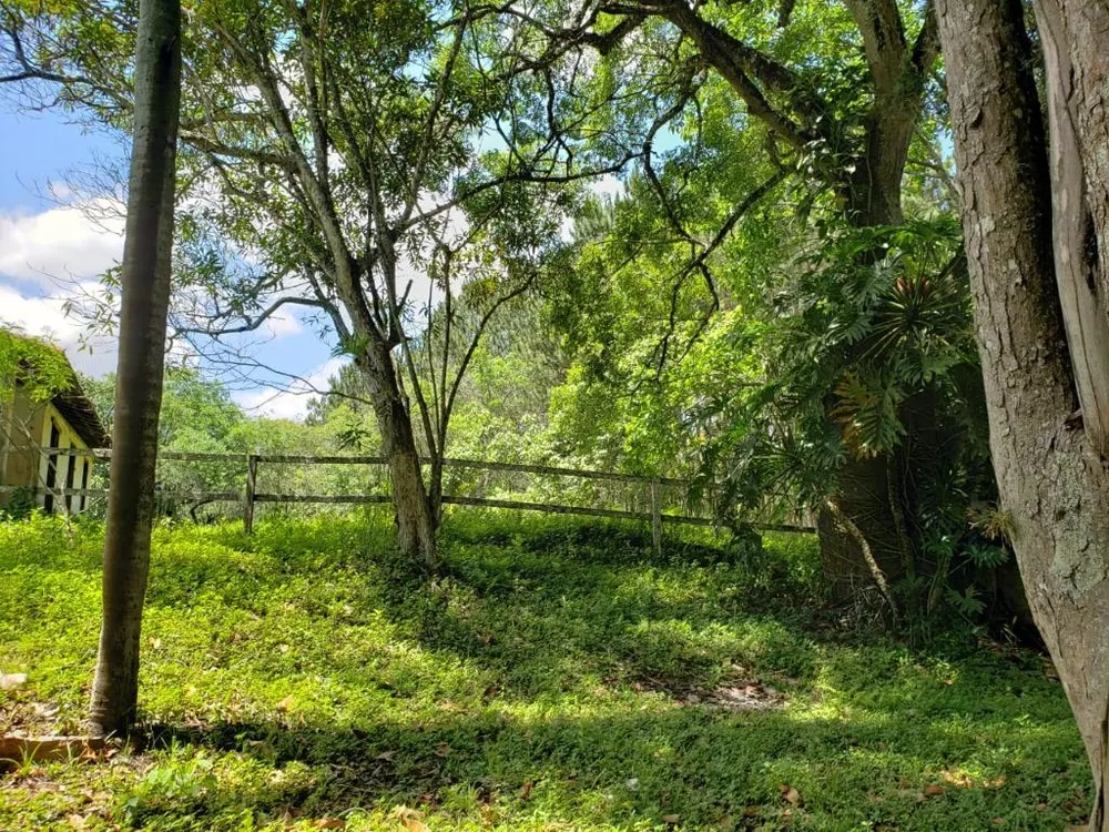 Terreno, 2 hectares - Foto 3