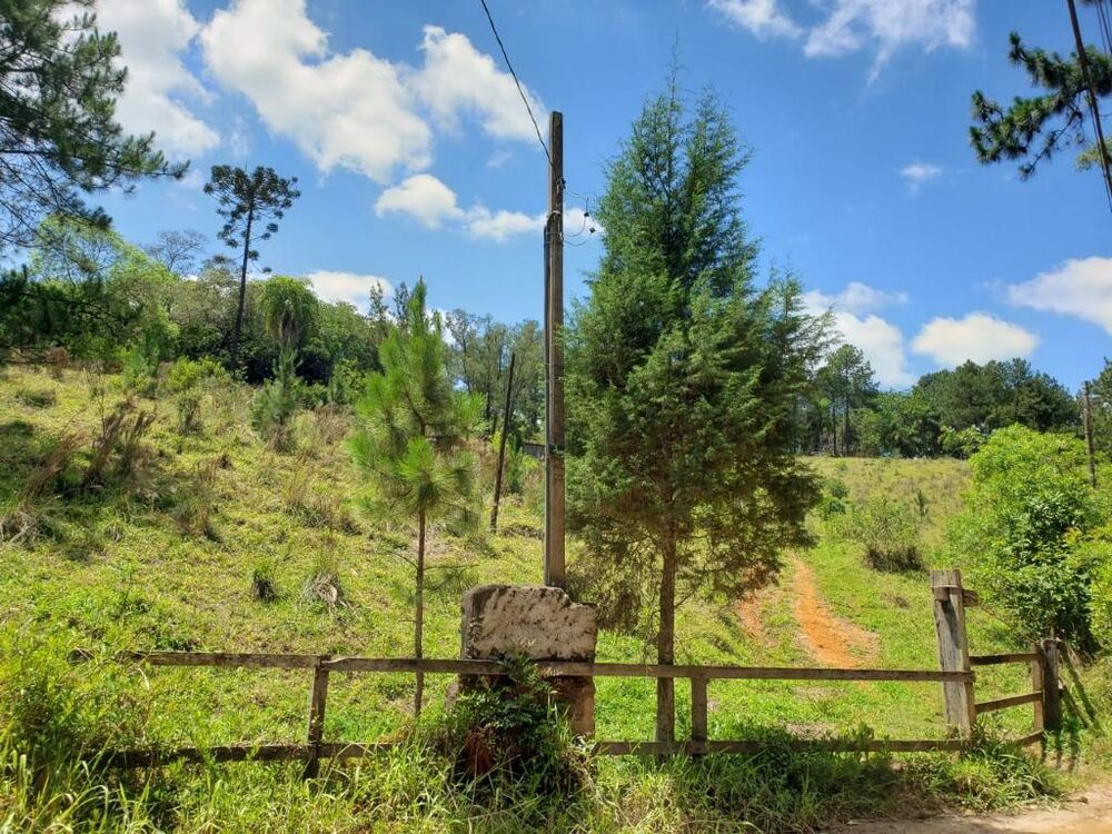Terreno, 2 hectares - Foto 1