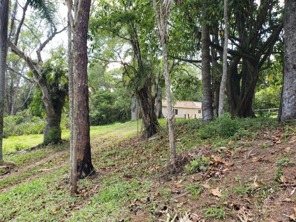 Terreno, 2 hectares - Foto 2