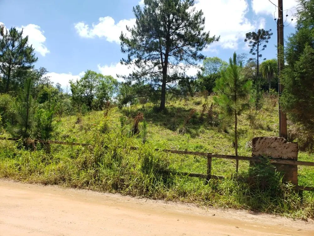 Terreno, 2 hectares - Foto 7
