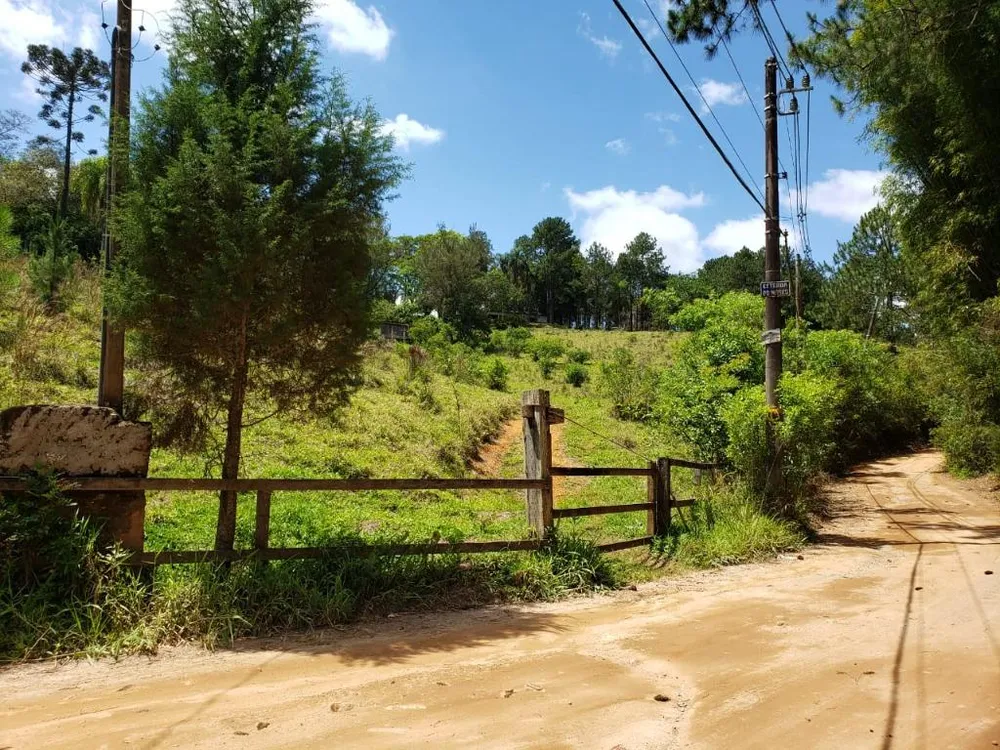 Terreno, 2 hectares - Foto 6