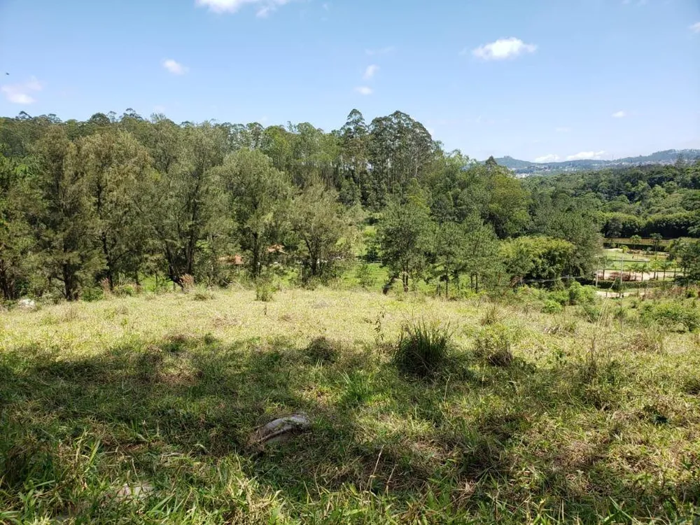 Terreno, 2 hectares - Foto 4