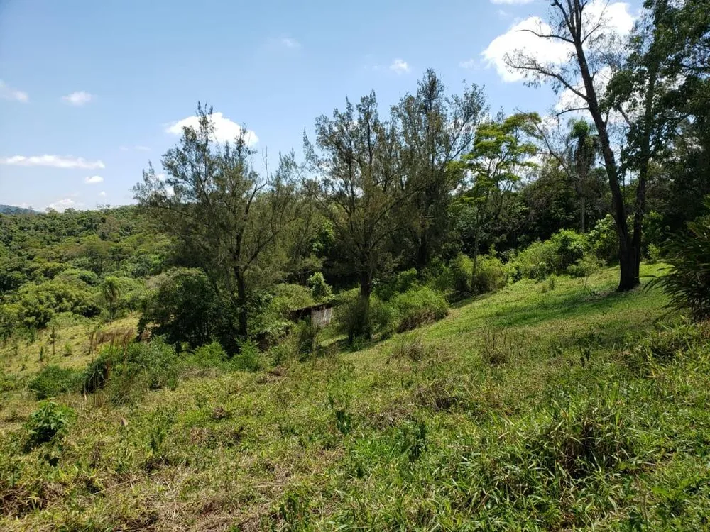 Terreno, 2 hectares - Foto 11