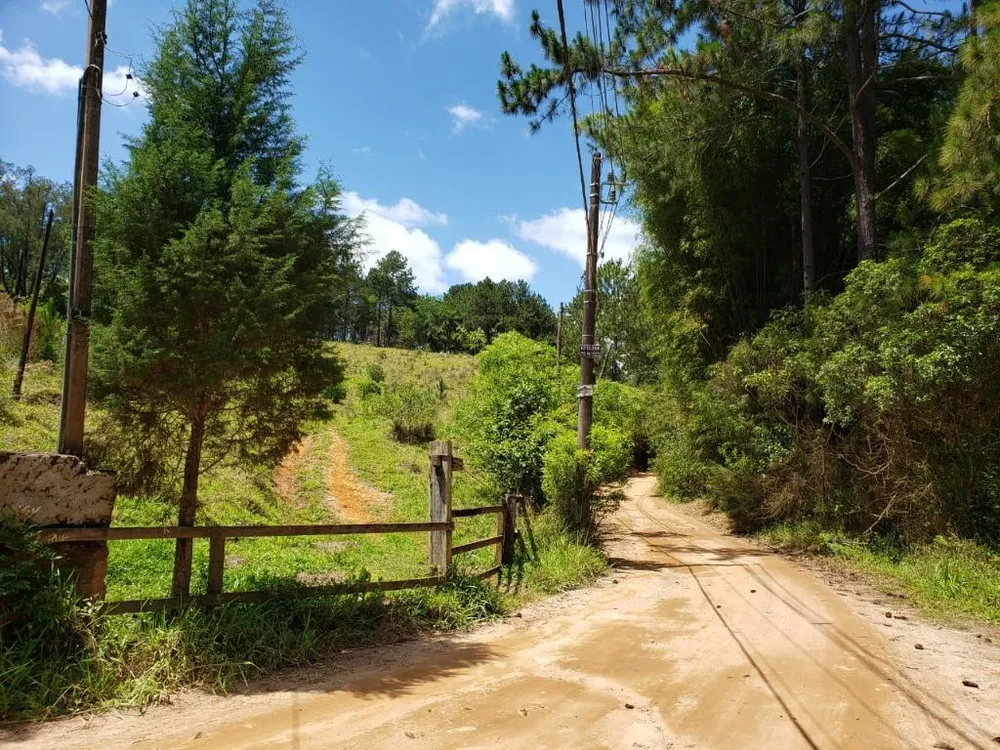 Terreno, 2 hectares - Foto 8