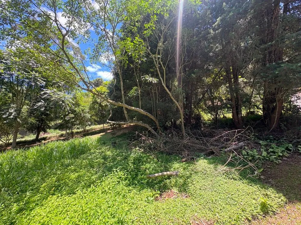 Loteamento e Condomínio, 1179 m² - Foto 5